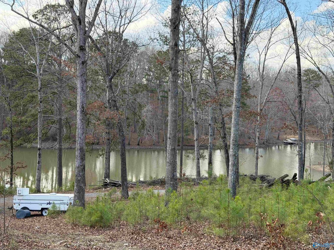 House in Leesburg, Alabama, United States 4 - 17681077