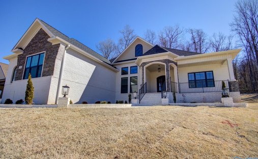 House in Harvest, Alabama, United States 1
