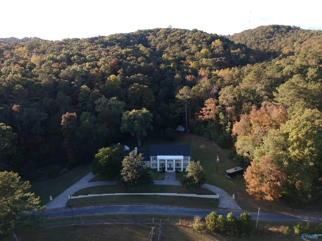 House in Attalla, Alabama, United States 3 - 17681361