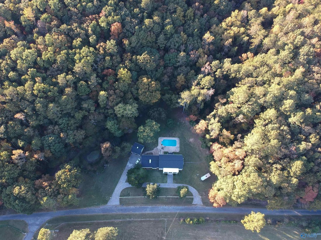 House in Attalla, Alabama, United States 4 - 17681361