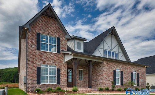 House in Owens Cross Roads, Alabama, United States 1