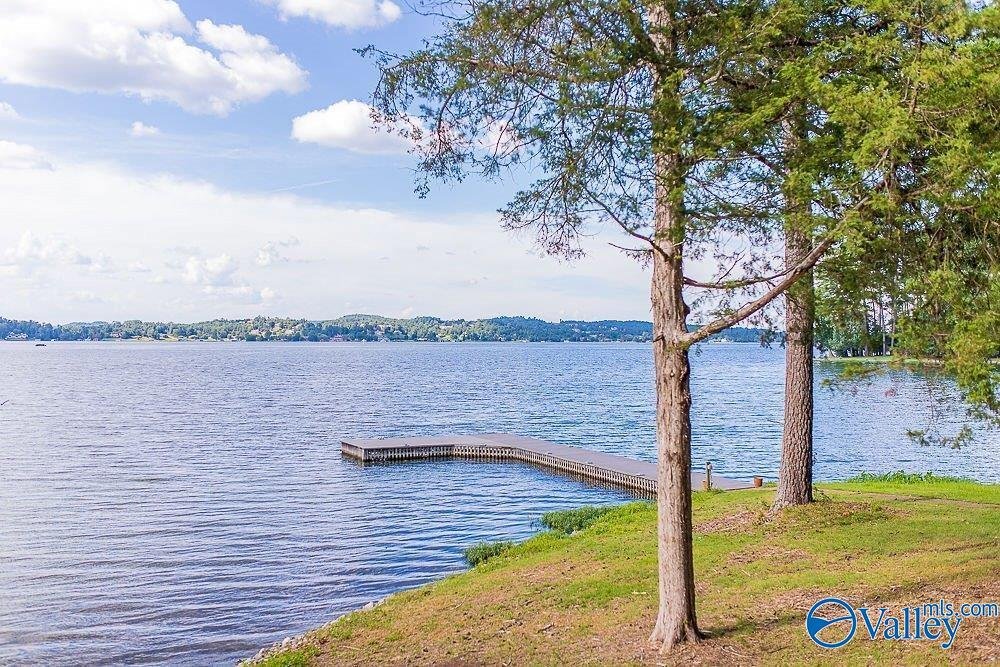 House in Guntersville, Alabama, United States 5 - 17680311