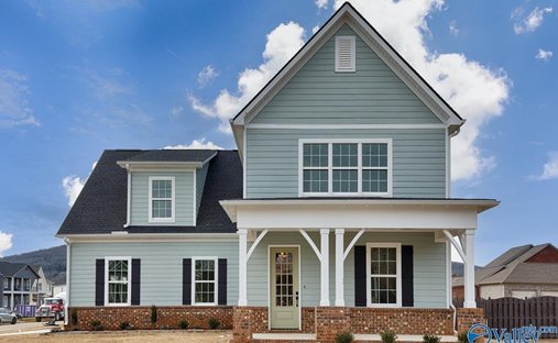 House in Madison, Alabama, United States 1