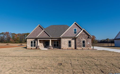 House in Meridianville, Alabama, United States 1