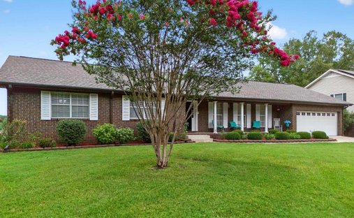 House in Hokes Bluff, Alabama, United States 1