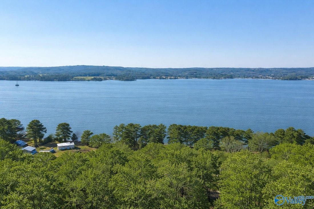 House in Guntersville, Alabama, United States 3 - 17681803