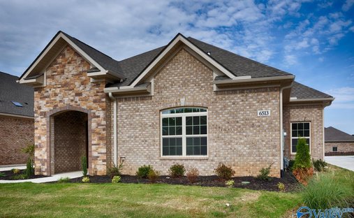 Casa en Madison, Alabama, Estados Unidos 1