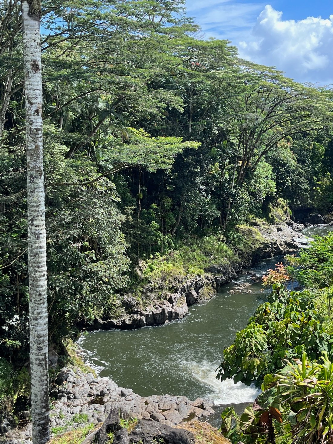 House in Hilo, Hawaii, United States 4 - 17680024