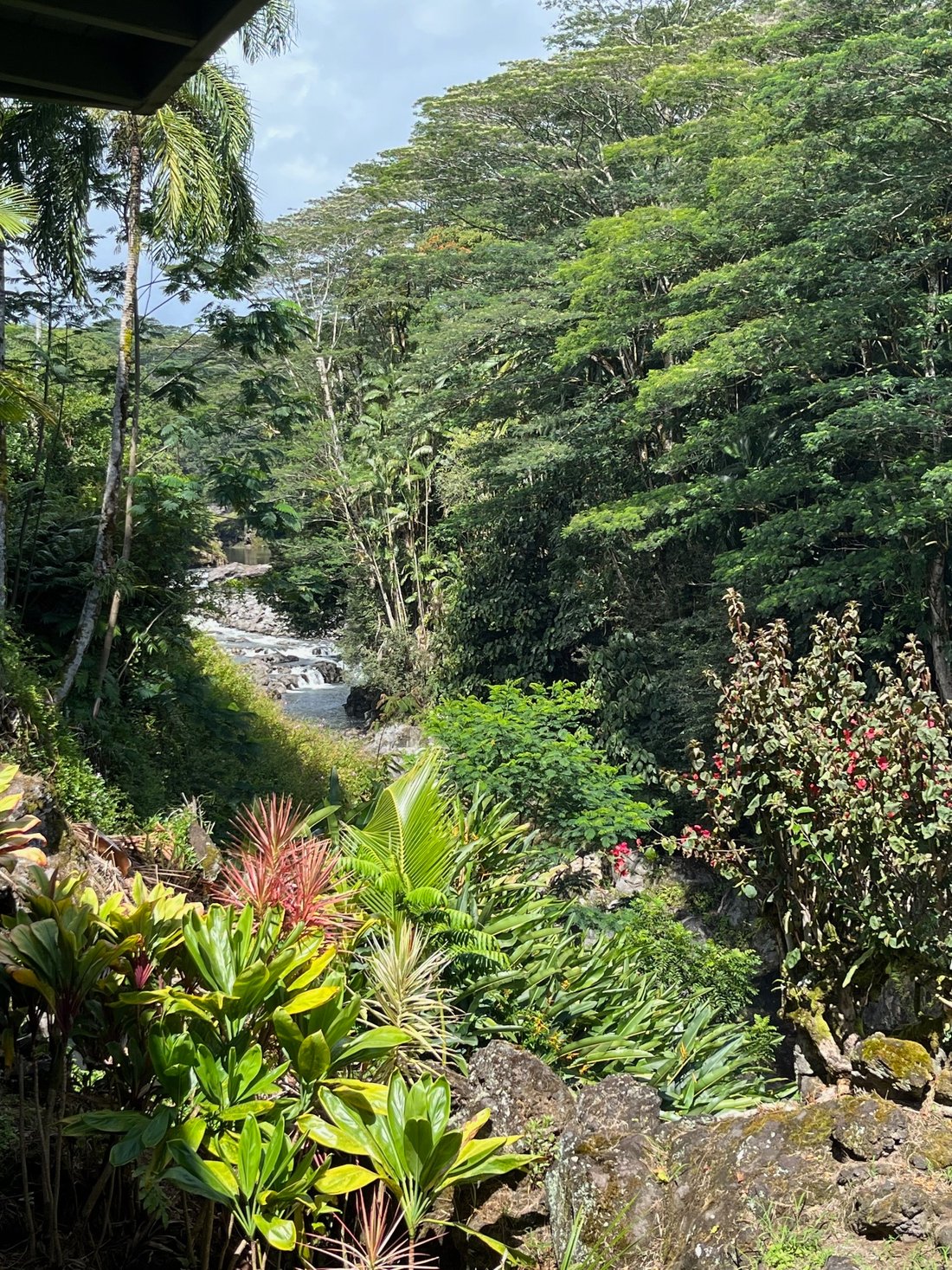 House in Hilo, Hawaii, United States 1 - 17680024