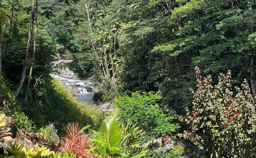 House in Hilo, Hawaii, United States 1