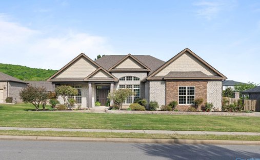 House in Owens Cross Roads, Alabama, United States 1