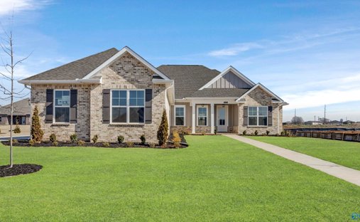 House in Madison, Alabama, United States 1