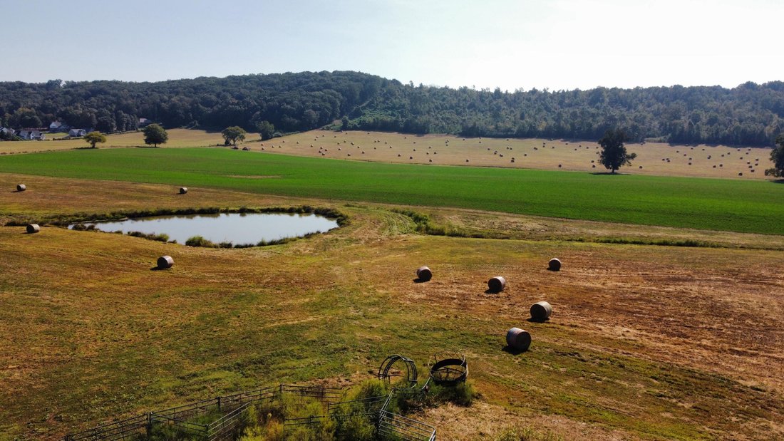 Farm Ranch in Cleveland, Tennessee, United States 4 - 17681544