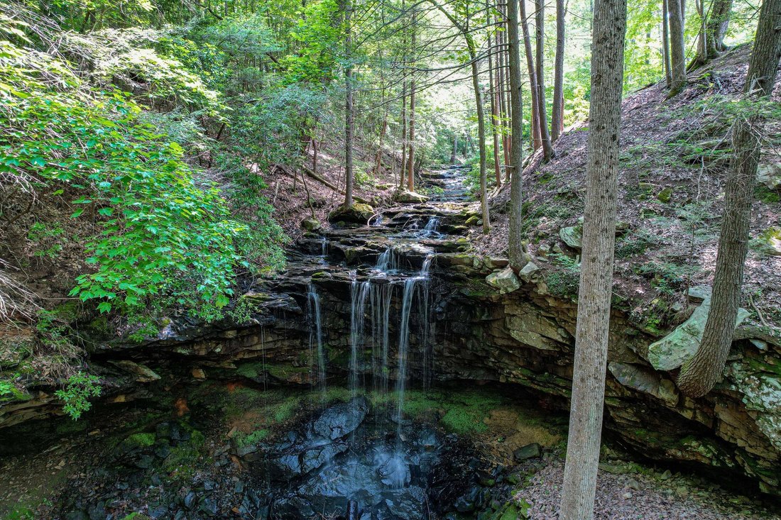Spencer, Tennessee, United States 3 - 17681711
