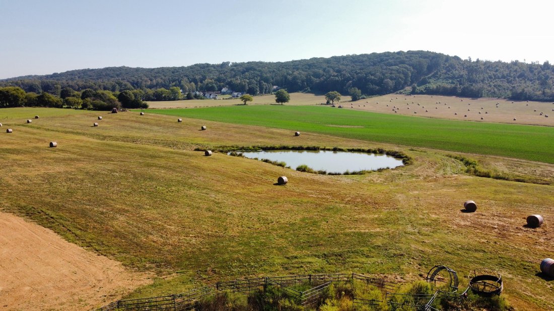 Farm Ranch in Cleveland, Tennessee, United States 5 - 17681544