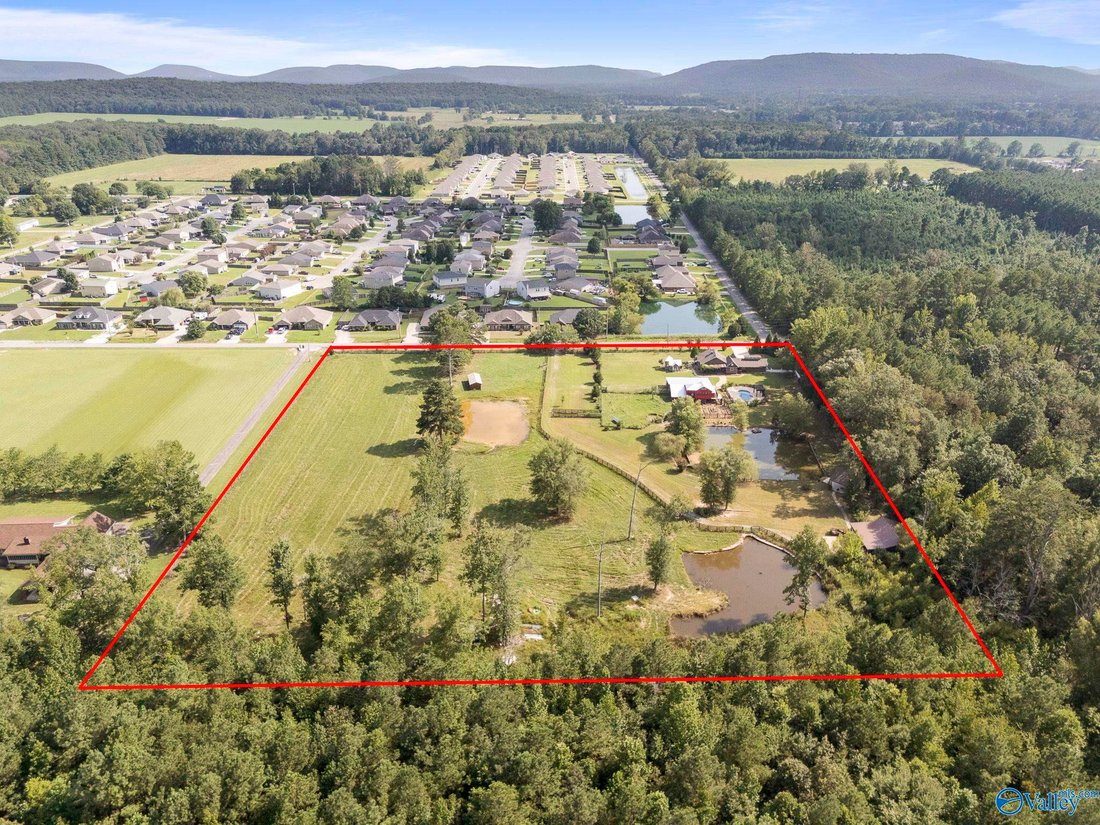 Land in Owens Cross Roads, Alabama, United States 1 - 17682288