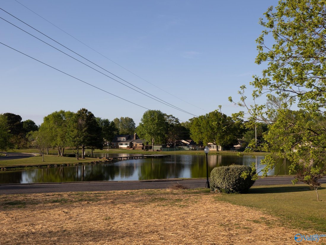House in Albertville, Alabama, United States 5 - 17680577
