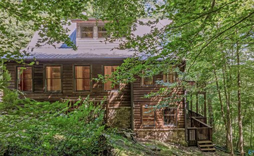 House in Trenton, Georgia, United States 1