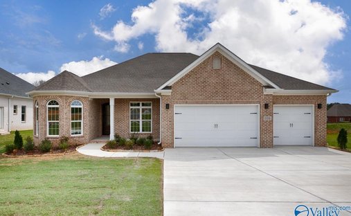 House in New Market, Alabama, United States 1