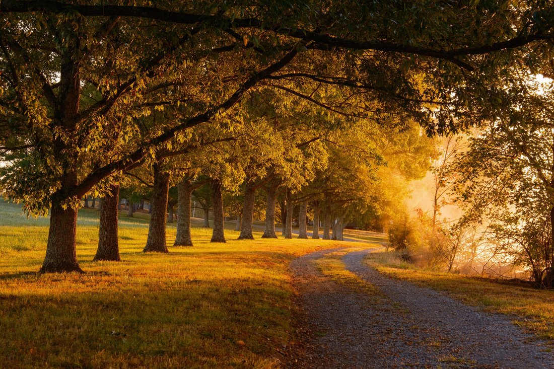 Farm Ranch in Chickamauga, Georgia, United States 2 - 17681508
