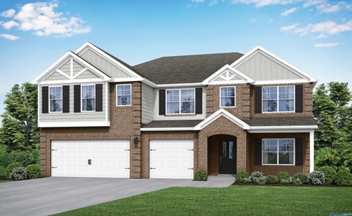 House in Madison, Alabama, United States 1