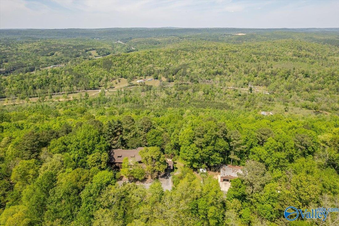 House in Attalla, Alabama, United States 5 - 17681283