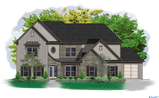 House in Madison, Alabama, United States 1