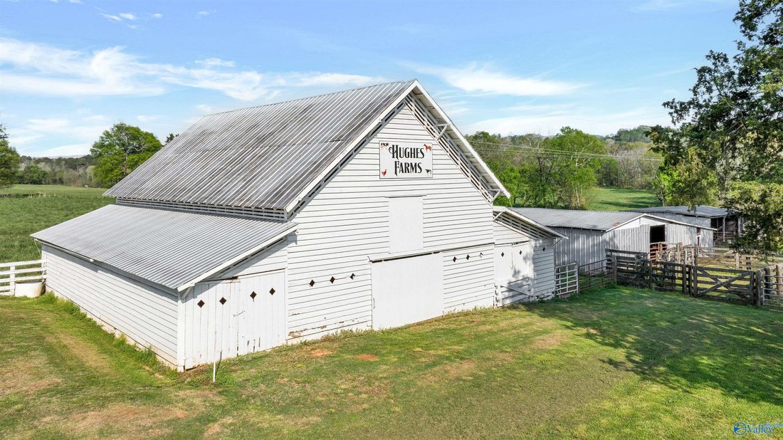 Farm Ranch in Fort Payne, Alabama, United States 5 - 17681033