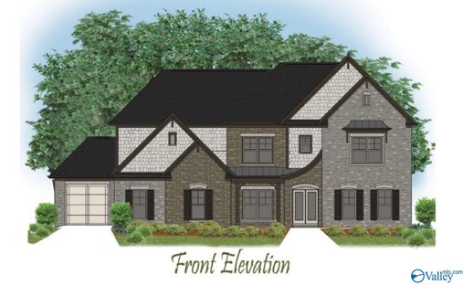 House in Madison, Alabama, United States 1