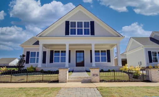House in Madison, Alabama, United States 1