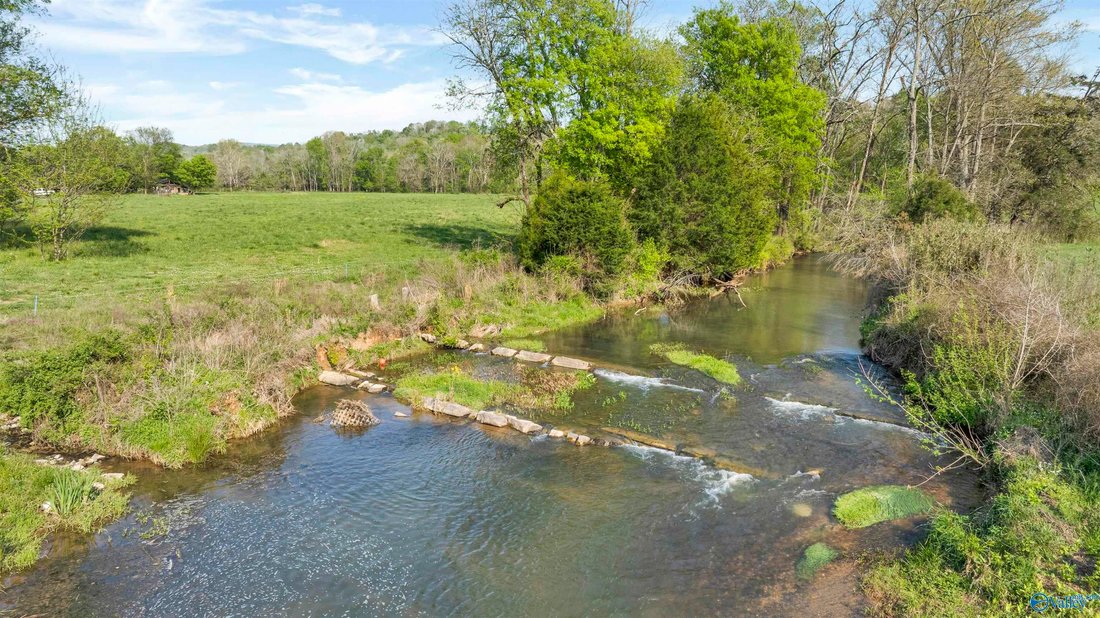 Farm Ranch in Fort Payne, Alabama, United States 4 - 17681033