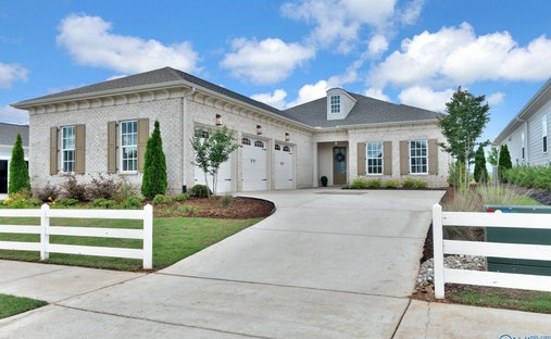 House in Madison, Alabama, United States 1