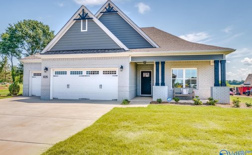 House in Meridianville, Alabama, United States 1