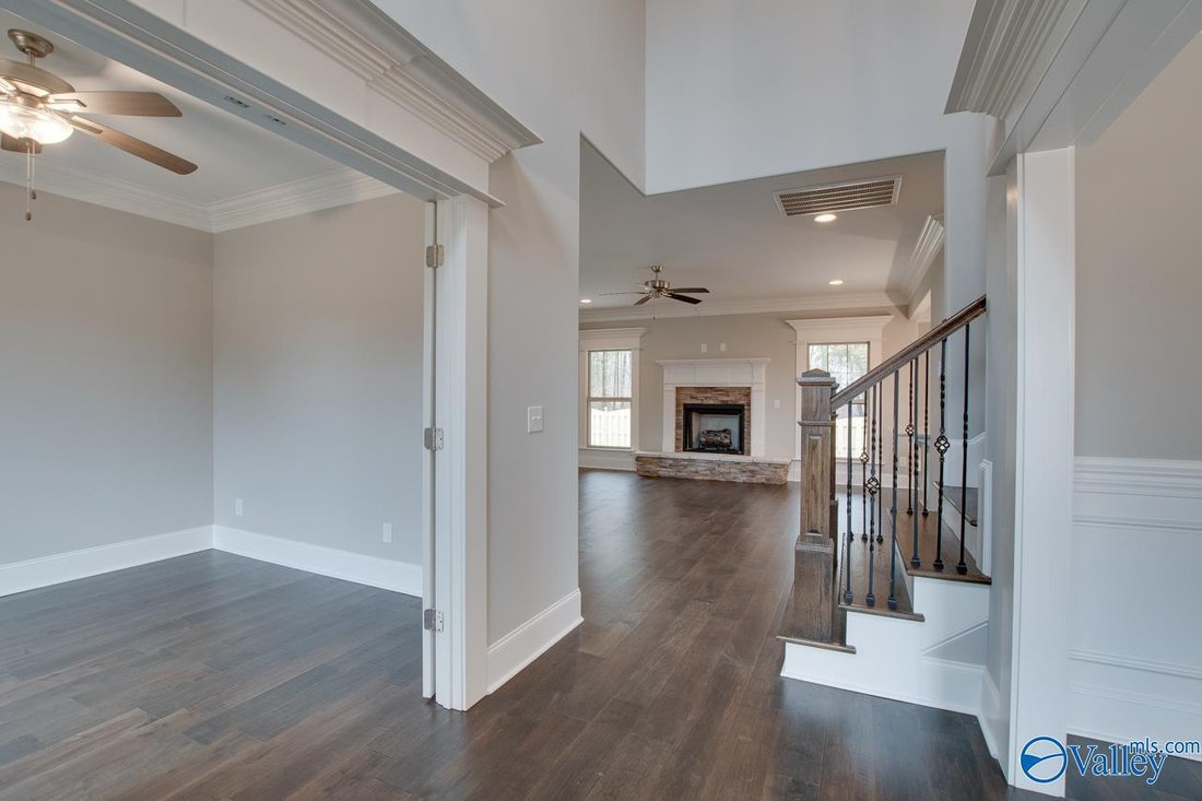 House in Madison, Alabama, United States 4 - 17681758