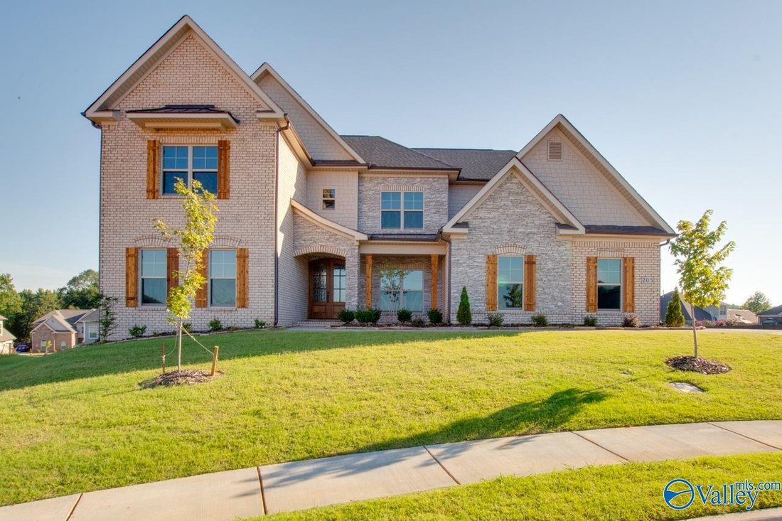 House in Madison, Alabama, United States 4 - 17681696