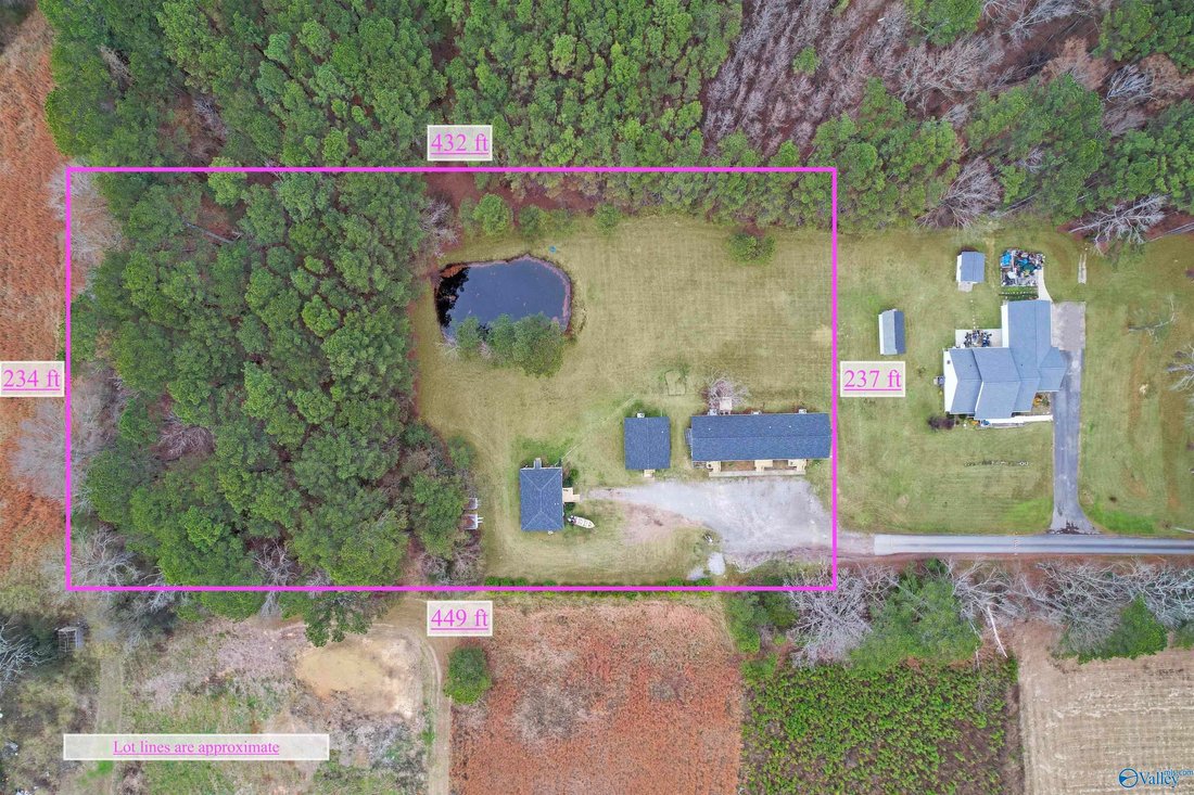 Apartment in Owens Cross Roads, Alabama, United States 4 - 17681335