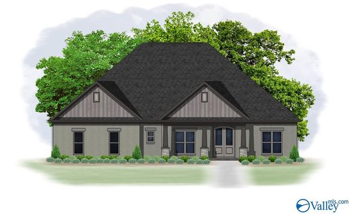 House in Madison, Alabama, United States 1