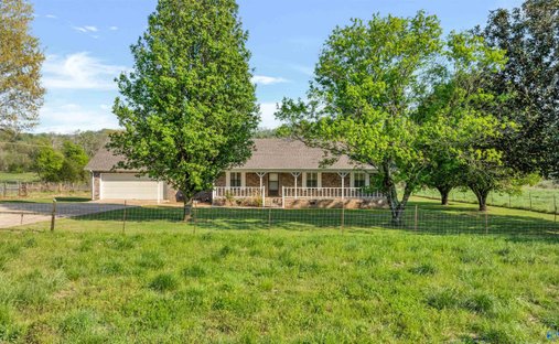 Land in Fort Payne, Alabama, United States 1