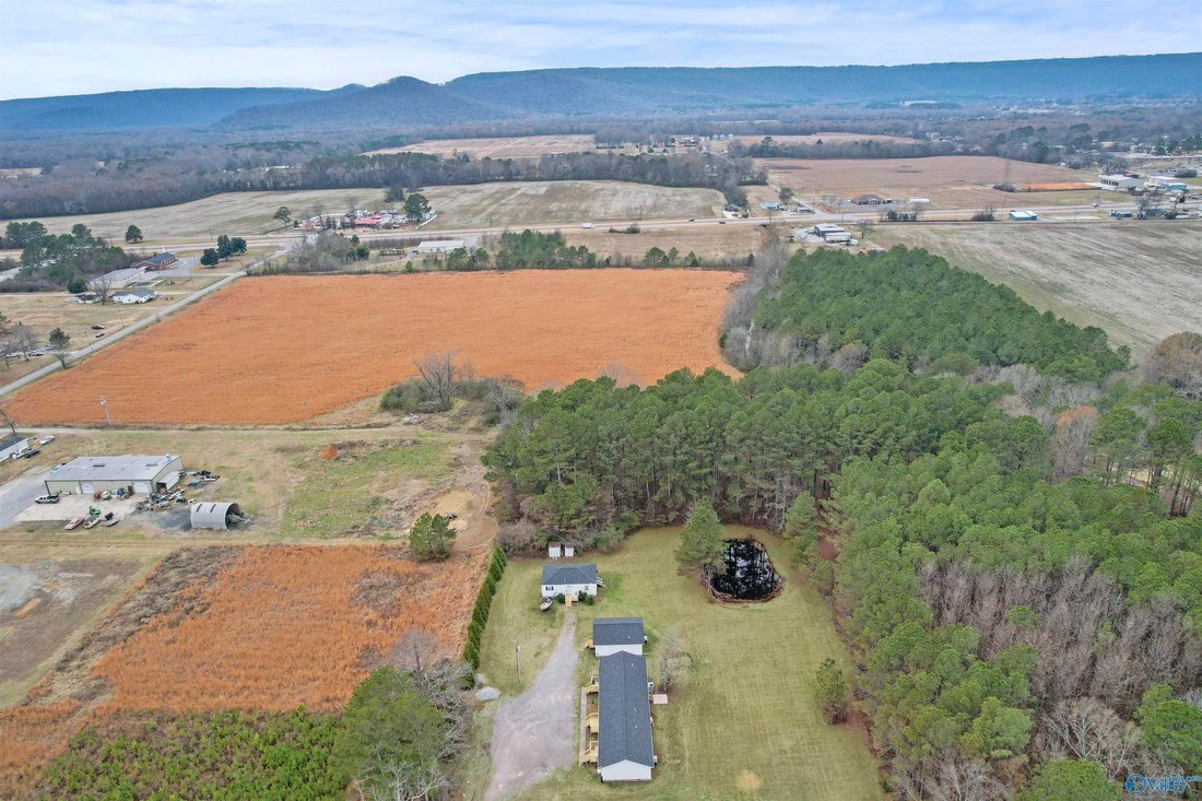 Apartment in Owens Cross Roads, Alabama, United States 2 - 17681335