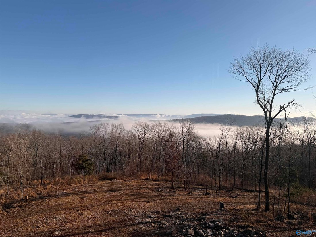House in Brownsboro, Alabama, United States 5 - 17681123