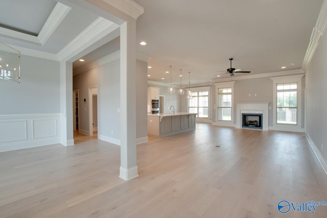 House in Madison, Alabama, United States 5 - 17680613
