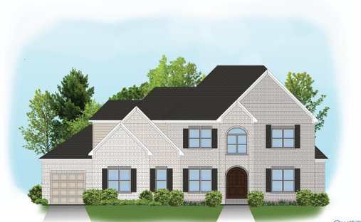 House in Madison, Alabama, United States 1