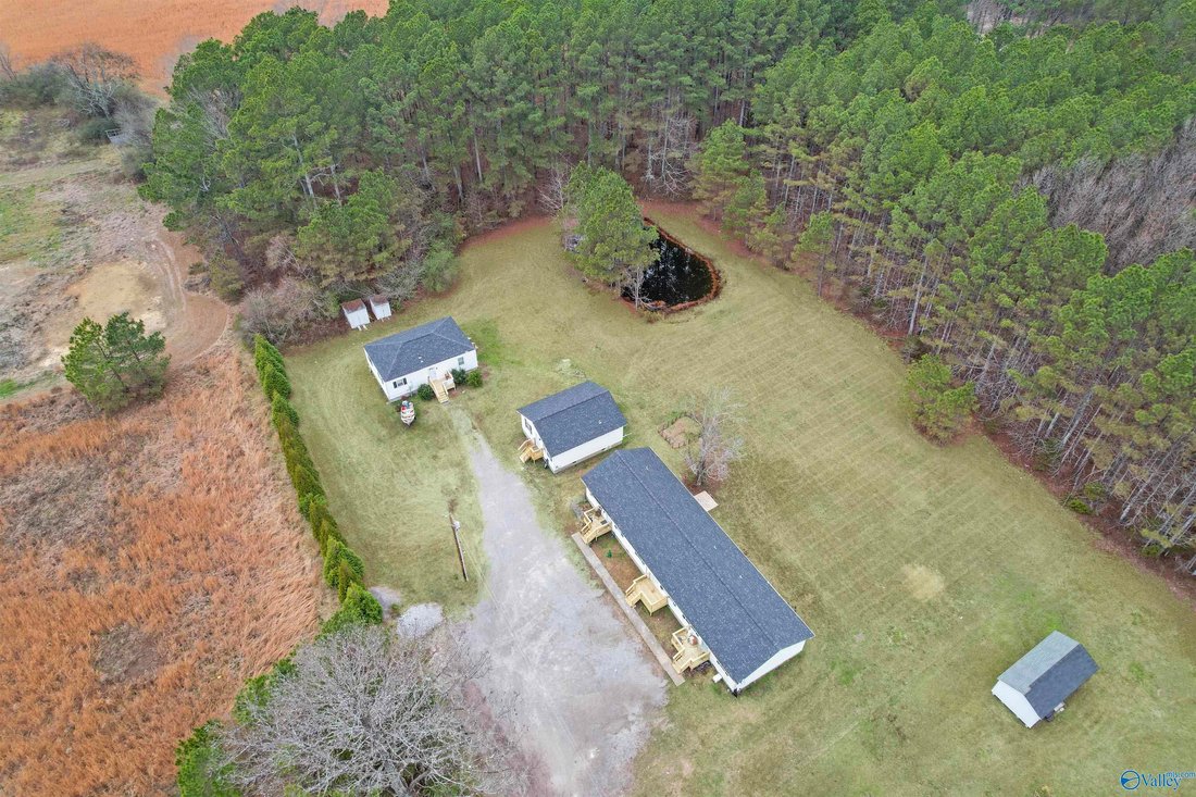 Apartment in Owens Cross Roads, Alabama, United States 3 - 17681335