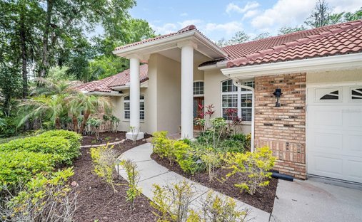 House in Oldsmar, Florida, United States 1