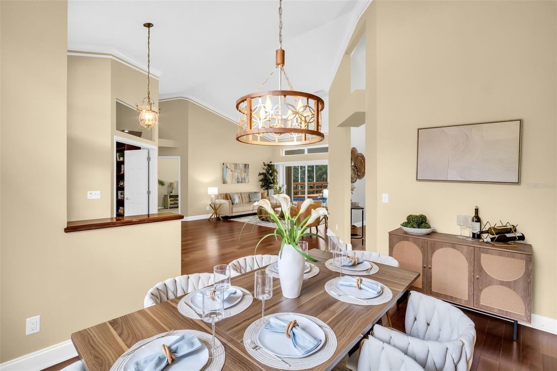 House in Oldsmar, Florida, United States 3 - 17685115