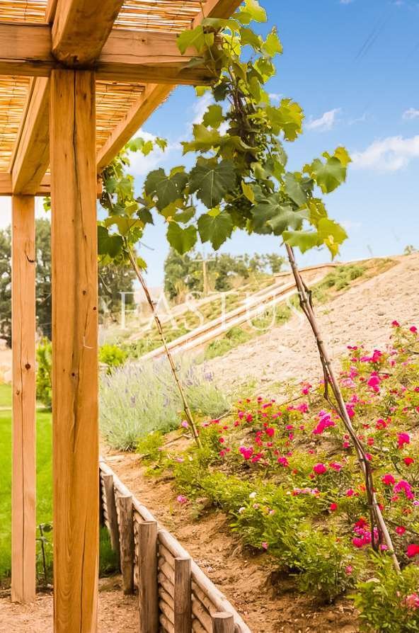 Estate in Pienza, Tuscany, Italy 5 - 17685979