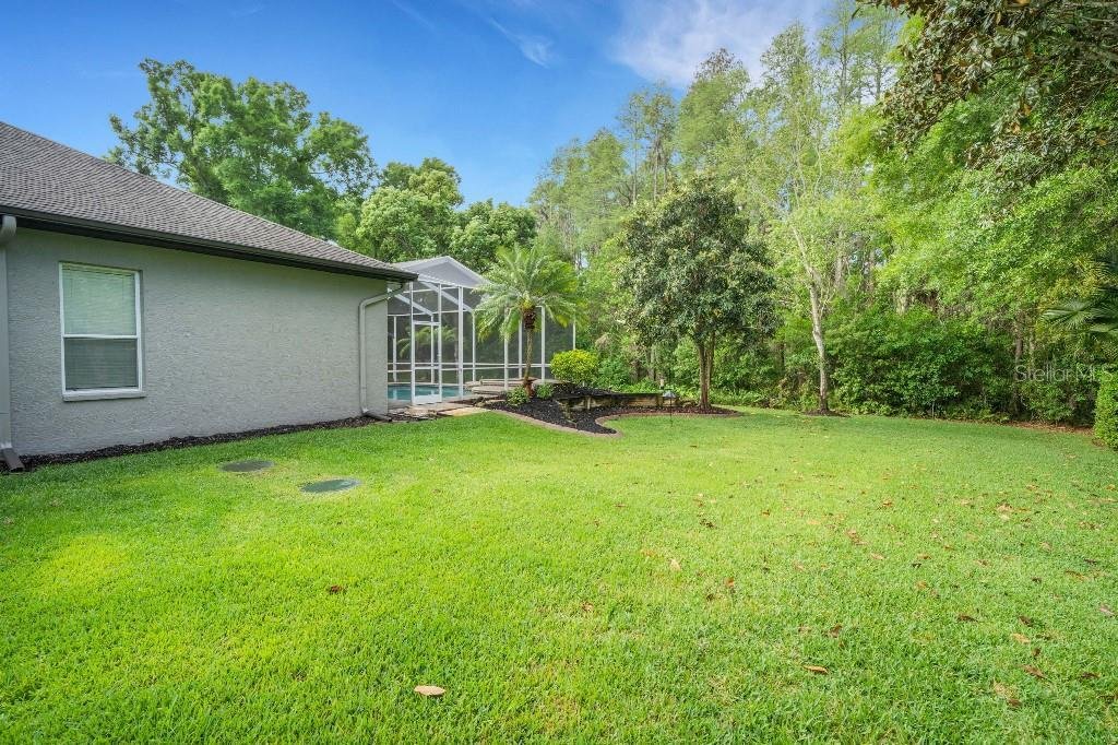 House in Odessa, Florida, United States 5 - 17683415