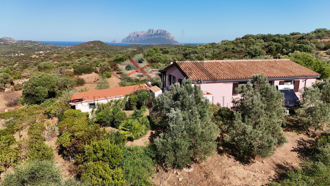 House in Murta Maria, Sardinia, Italy 3 - 17688201