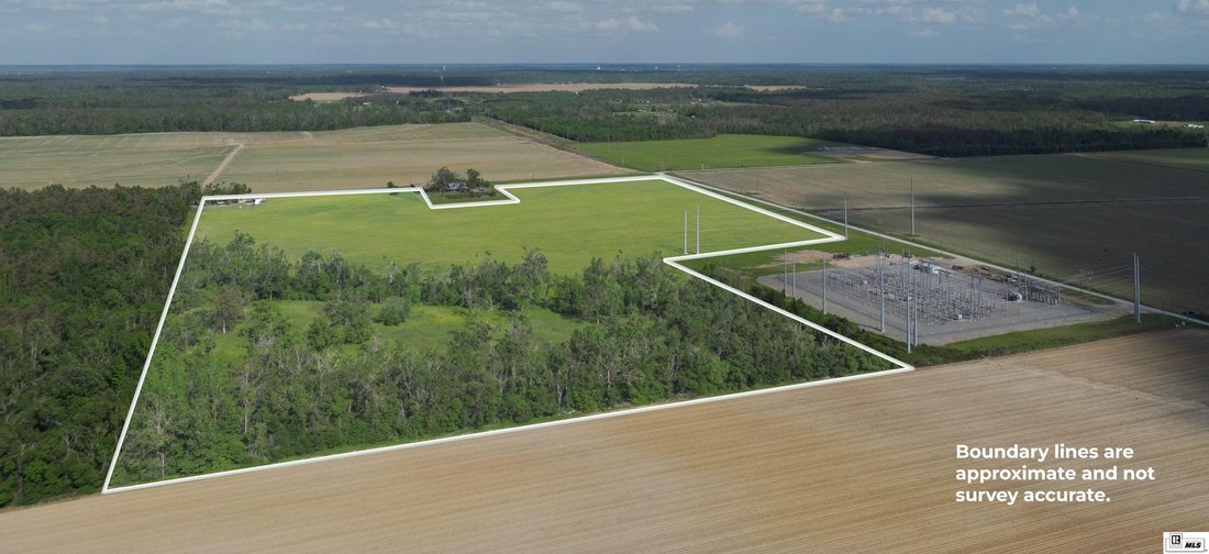 Farm Ranch in Delhi, Louisiana, United States 1 - 17688079