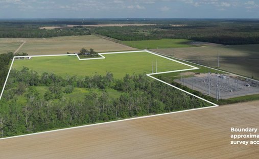 Farm Ranch in Delhi, Louisiana, Vereinigte Staaten 1
